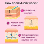 An educational infographic titled 'How Snail Mucin works?' on a light pink background, showing three illustrated stages of skin regeneration: exfoliation of dead skin, calming of irritated skin, and collagen regeneration of new cells.